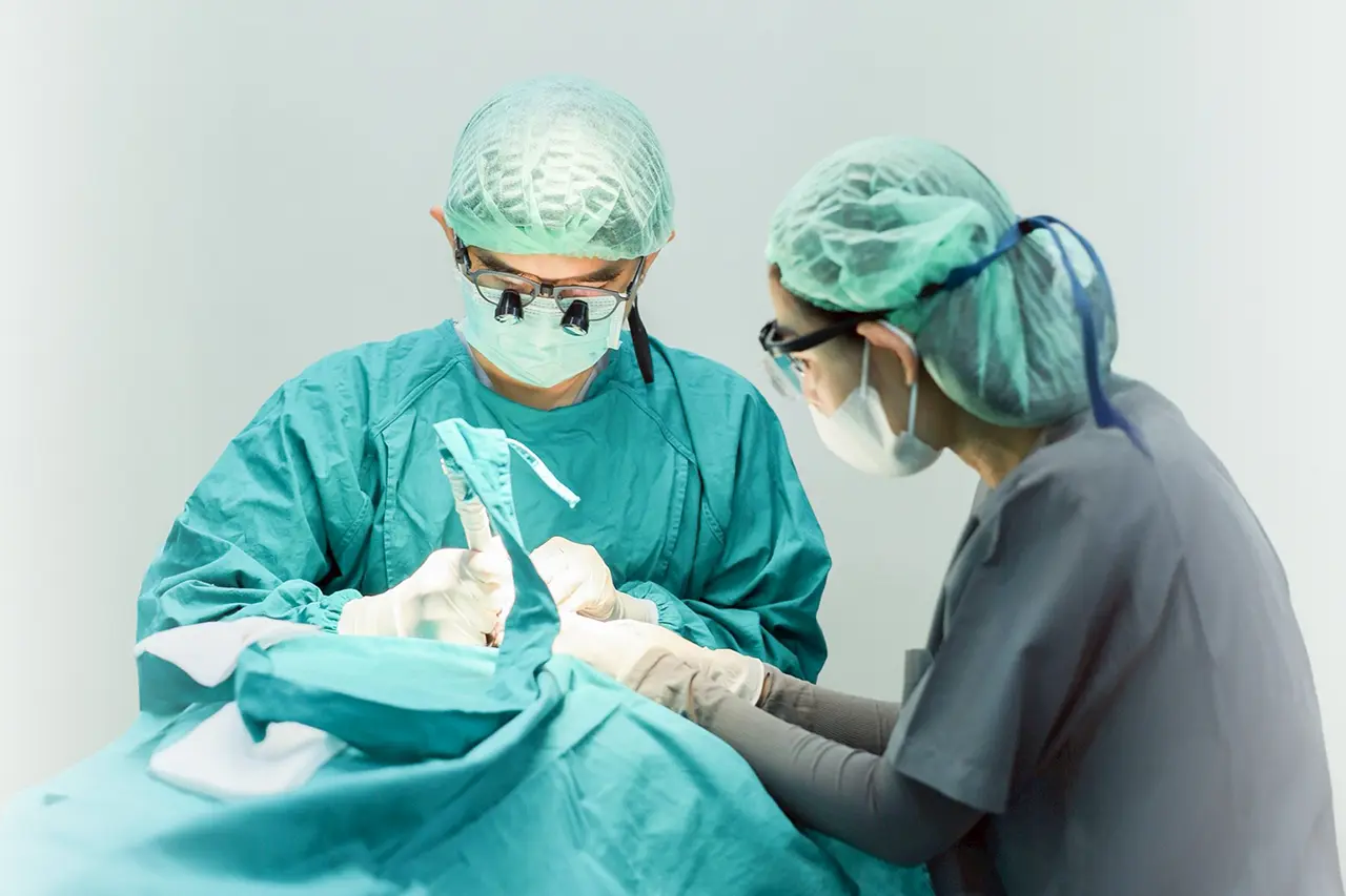 Hair Transplant Process in Thailand